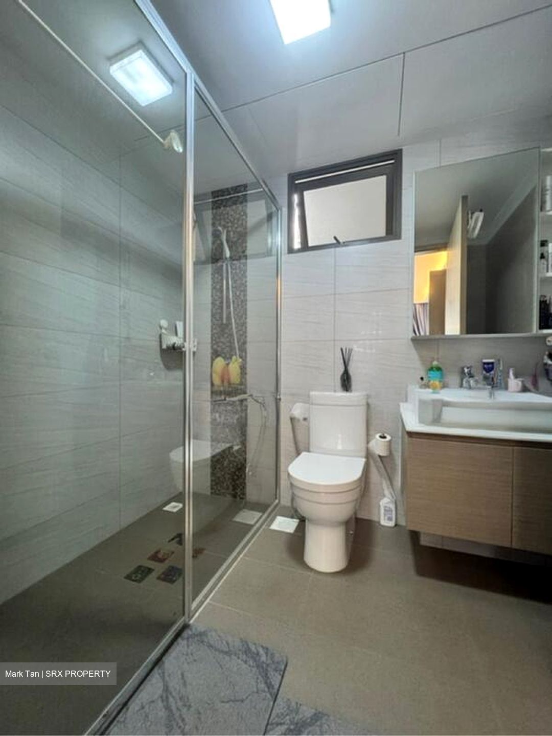 Treasure Crest (D19), Condominium #498658911